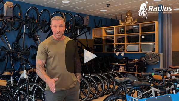 Radlos WINORA E-Bike Sale 2025